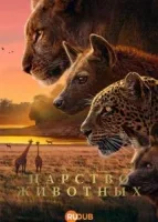 Царство животных